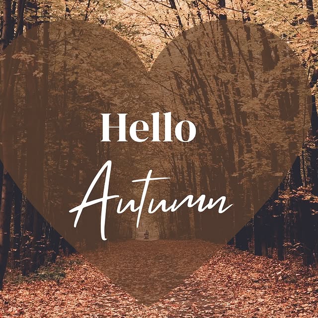 🍂🤎🧡🤎🍂